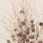 Arrangement floral de bouleau artificiel rustique artificiel automne hiver, jets de Noël avec de longues tiges pour décoration de table