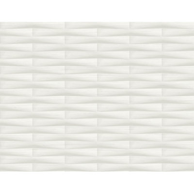 Rouleau de papier peint lisse L 27 pi x l 27 po Dosher Gator