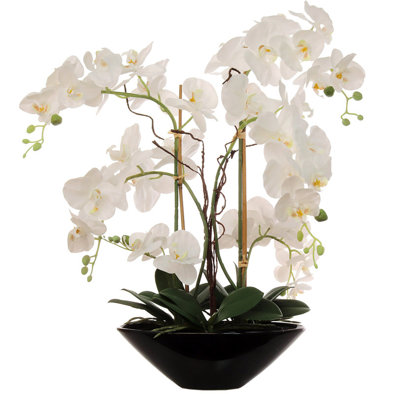 Silk Orchid Arrangement in Vase, Black