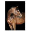 Tan Horse Frontal Print-24074589