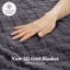 Heated Throw Blanket