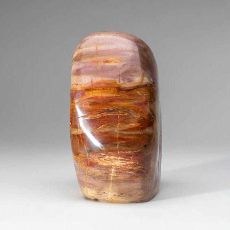 Polished Petrified Wood Freeform