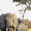 Print on Canvas-23990836