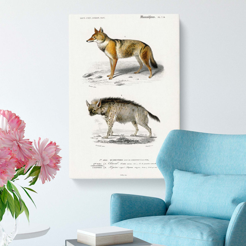 Golden Jackal & Striped Hyena by Charles D' Orbigny - Wrapped Canvas Painting, 60cm H x 40cm W x 3cm D