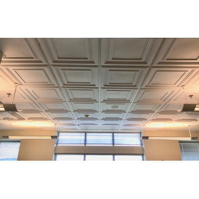 Direct-mount PVC Ceiling Grids - White - 170 Square Feet - Ceiling Tiles Not Included