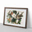 Black-Billed Cuckoo Birds by John James Audubon - Picture Frame Art Print-55512511-55512510