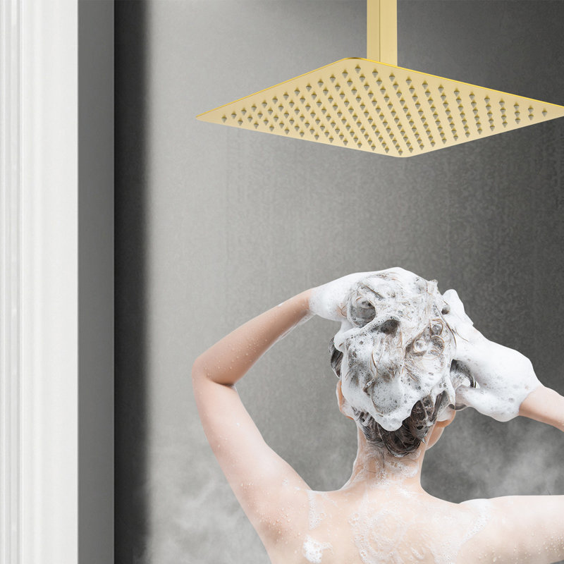 Pomme de douche à pluie fixe 1,8 GPM GPM avec autonettoyant, Or brossé