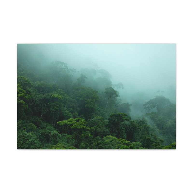 No Frame Print on Canvas, 40.64cm H x 50.8cm W