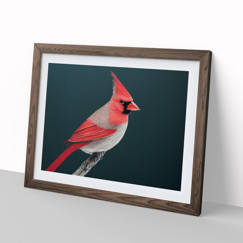 Cardinal Bird Vol.1 - Single Picture Frame Print, 25cm H x 34cm W x 2cm D, Walnut Framed