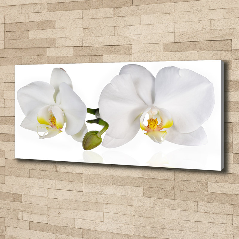 Orchid - Wrapped Canvas Print