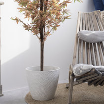 Wayfair  Dakota Fields Planters You'll Love in 2024