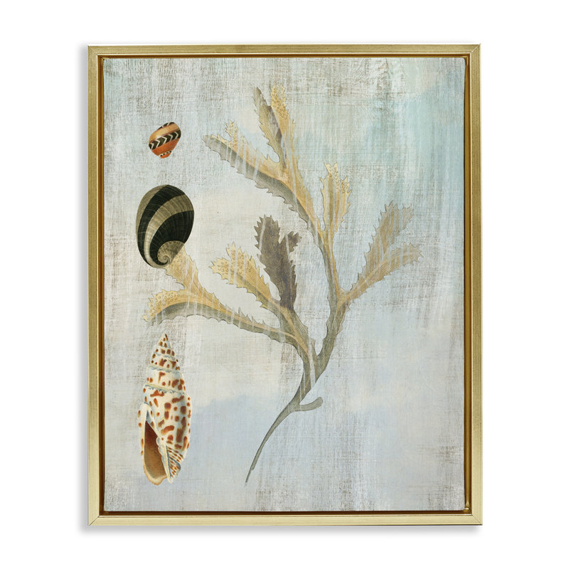 Cadre flottant mixte coquillages et corail, design par Susan Arnot, H 21 po x l 17 po, Cadre flottant métallique doré