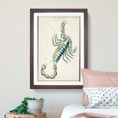 Astronomical Zodiac Chart Of The Scorpio - Single Picture Frame Painting