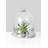 Hantsport Glass Terrarium-1670173766-1678277170