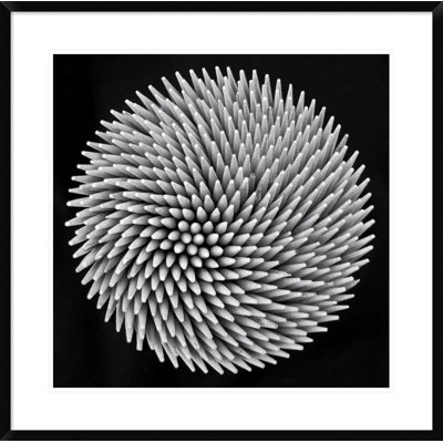 " Hypnosis " by Giorgio Toniolo