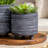 Outdoor Planters, Planter, Garden, Hanging Planter, Patio Decor, 6/8" Black Planter