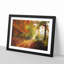 Autumn Forest - Picture Frame Painting Print-56633544-56633543