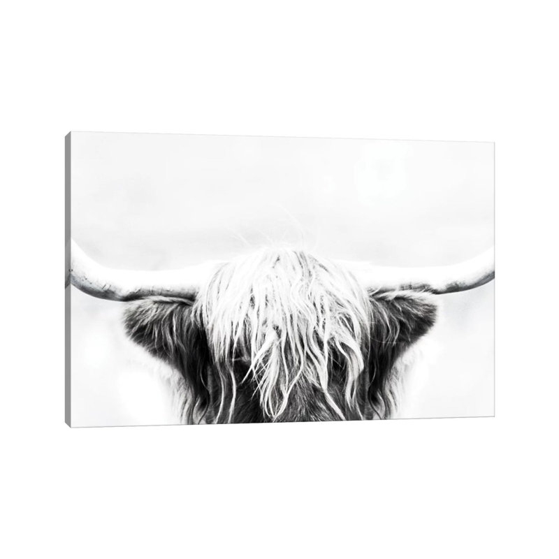 Longhorn 1 Piece Wall Art on Canvas, 30.48cm H x 45.72cm W x 1.91cm D, Wrapped Canvas