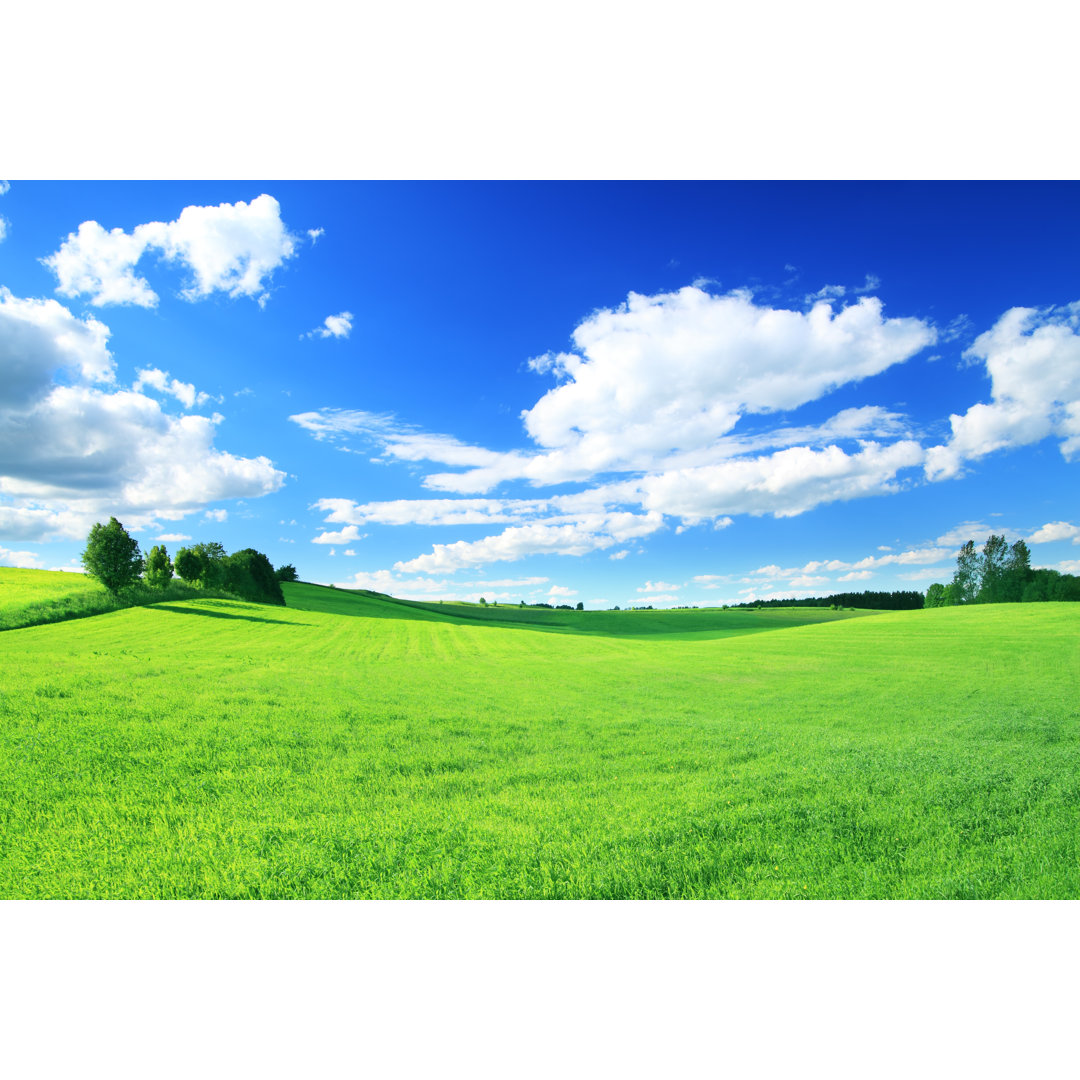 Grünes Feld auf blauem Himmel von Konradlew - Druck auf Leinwand ohne Rahmen