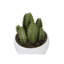 Plante artificielle-1214834763