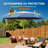 Patio Umbrella-657003300-641444539