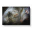 Colourful Elephant in Abstract - Wrapped Canvas-55315514