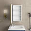 16 In. W X 28 In. H Wall-Mounted Or Recessed Gold Framed Storage Bathroom Medicine Cabinet With Mirror