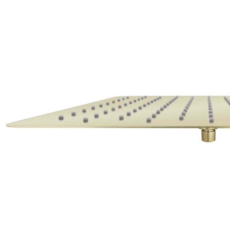 Rain Fixed Shower Head, Polished Gold