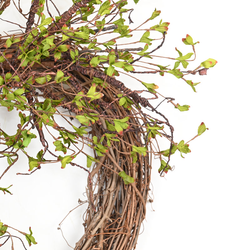 26" Spring Grapevine Wreath for Front Door, Brown/Green