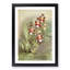 Magnolia Flowers Illustration Tab. 49 by Frederick Sander - Picture Frame Painting Print-55759019-55759025