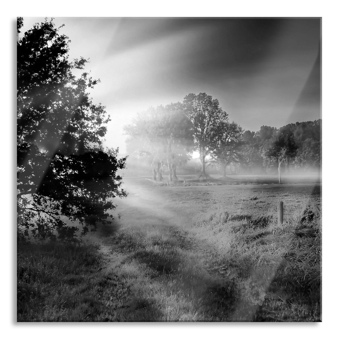 Ungerahmtes Foto auf Glas "Schöne Lichtung im Wald"