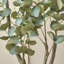 Faux Eucalyptus Tree Plant-1203865729