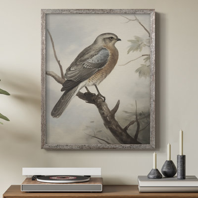 «Vintage Animal Print VI», reproduction encadrée - bois massif