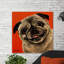 Pug Photograph 1 Piece Wrapped Canvas Painting-1344333581