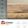 Wayne Machine Woven Beige/Brown Indoor Rug