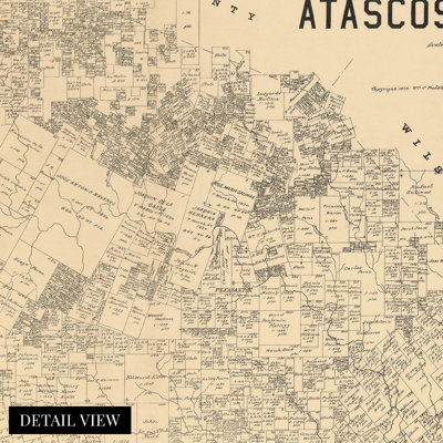 Carte du Texas, 1879, Atascosa County