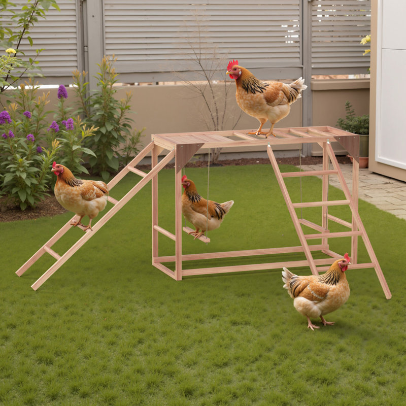 Ensemble de perchoirs à poulet, ensemble de perchoirs avec balançoires et échelles pour poulailler