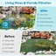 Outdoor Pool Fountain