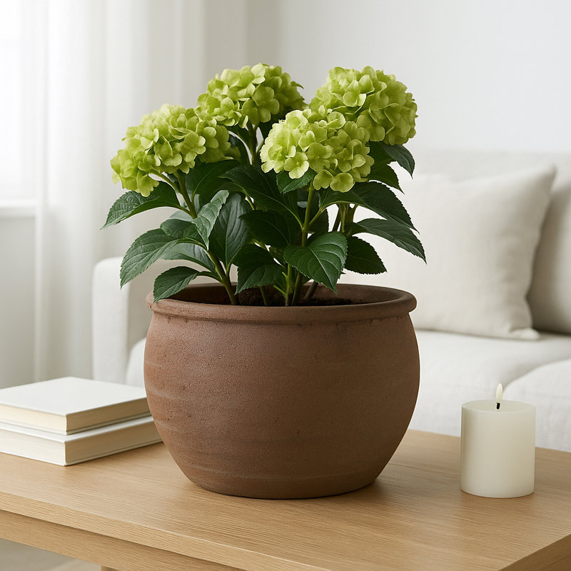 Pot à fleurs Hooge, H 9 po x l 13 po x P 13 po, Brun foncé