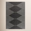 Abdulazeez Black Geometric Outdoor Rug