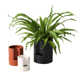Patti Handmade Ceramic Pot Planter
