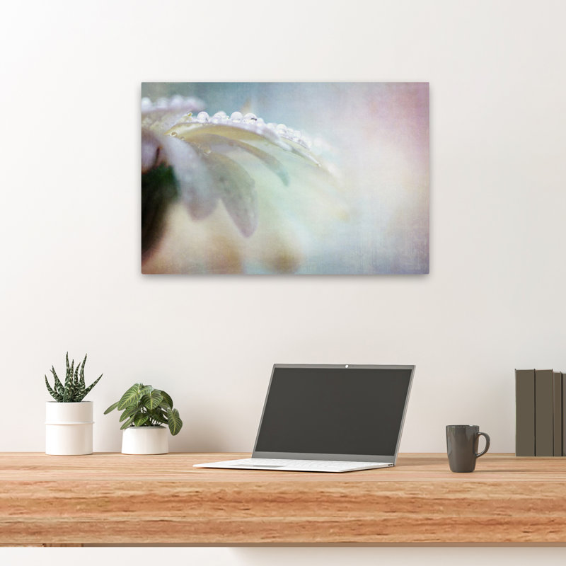Plantes, fleurs, paysage, nature, marguerites, H 16 po x l 24 po
