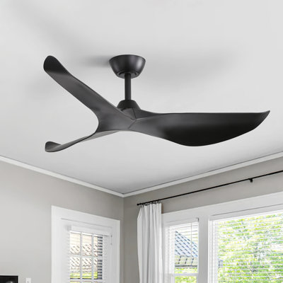 Degregorio 38'' Ceiling Fan