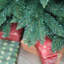 Artificial Christmas Tree-337244079-337244078