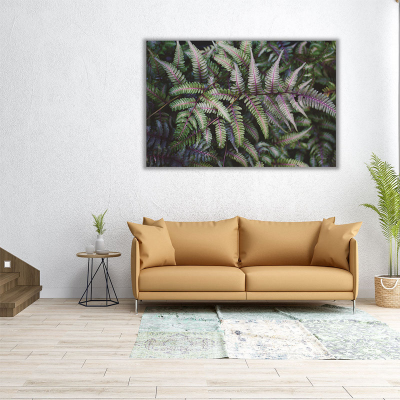 Funky Ferns IV - reproduction d'art sur toile, H 12 po x l 18 po
