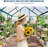 6x6 FT Walk-in Polycarbonate Greenhouse, Aluminum Frame, Sliding Door, Roof Vent, Outdoor Garden Shed-125296676-125296677