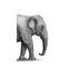 «Elephant Study» par Terry Fan - impression-52991141-52991142-52991150