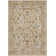 Jiesha Oriental Indoor Rug