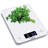 Ozeri Touch Professional Digital Kitchen Scale (12 lbs Edition) in Tempered Glass-17854781