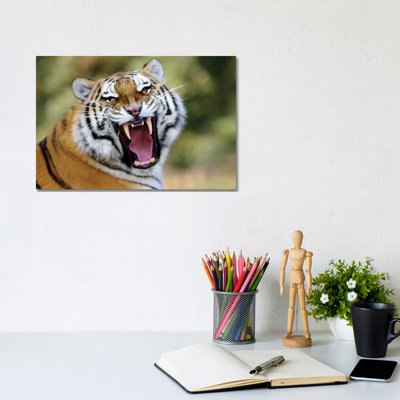 Tiger Roar by Goran Anastasovski - Wrapped Canvas Print